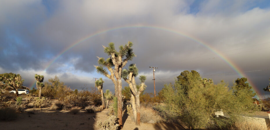 rainbow