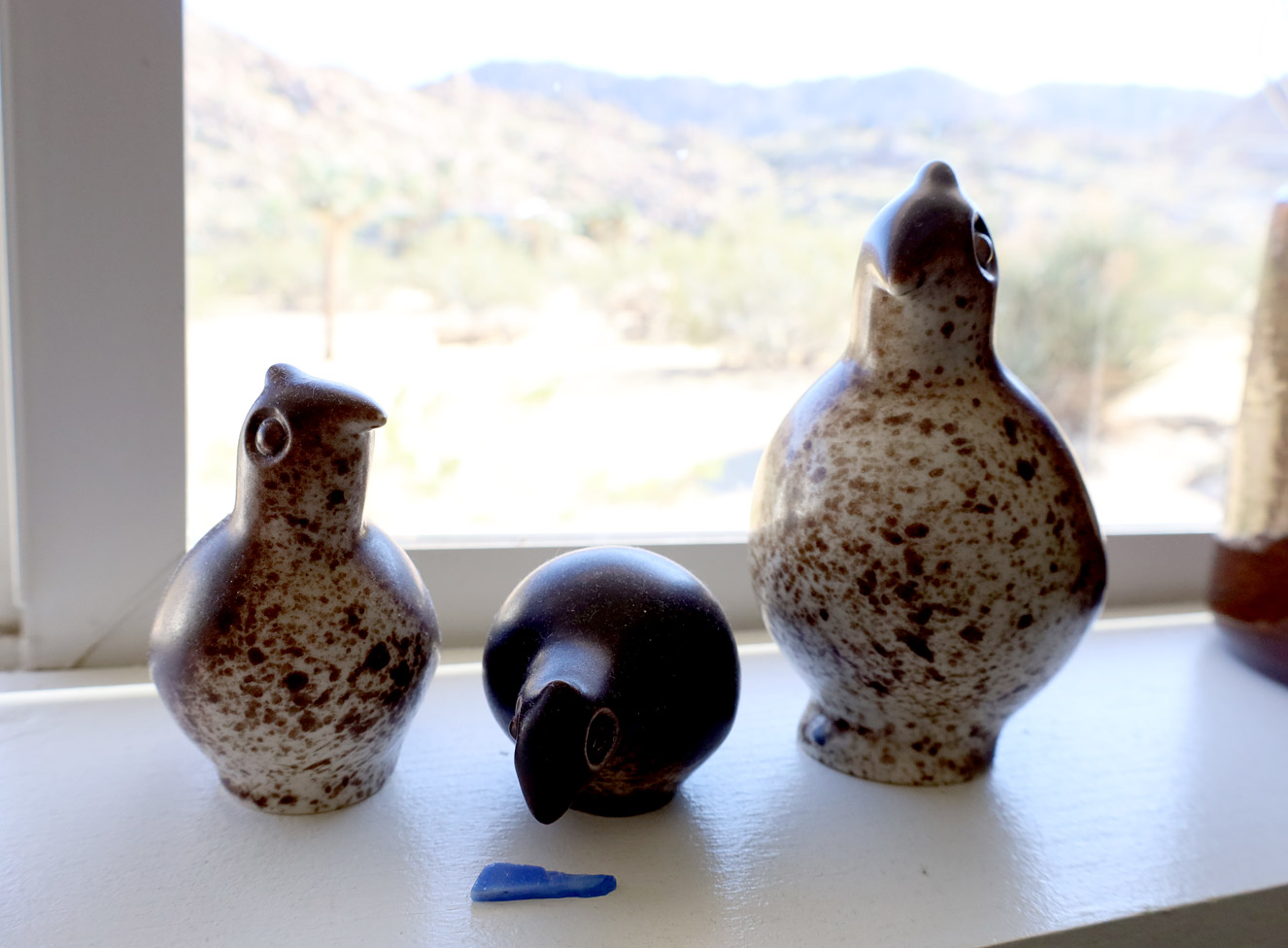 Howard Pierce quail family