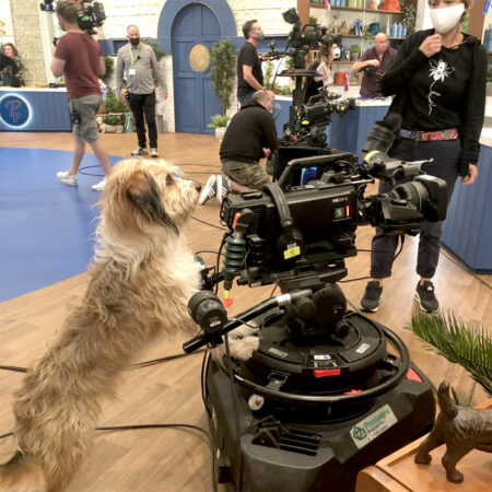 quiet on the set