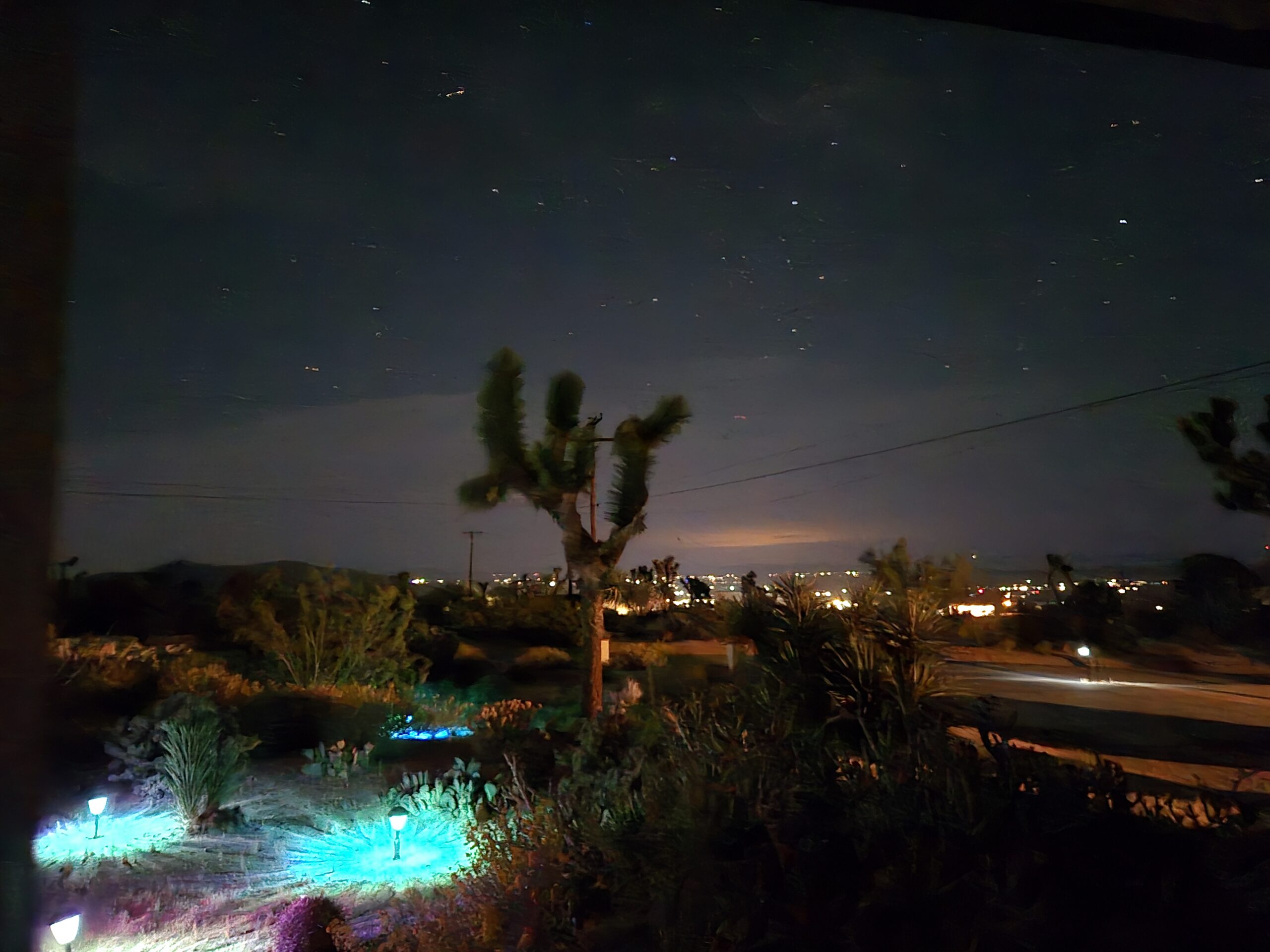 Joshua Tree basin at night