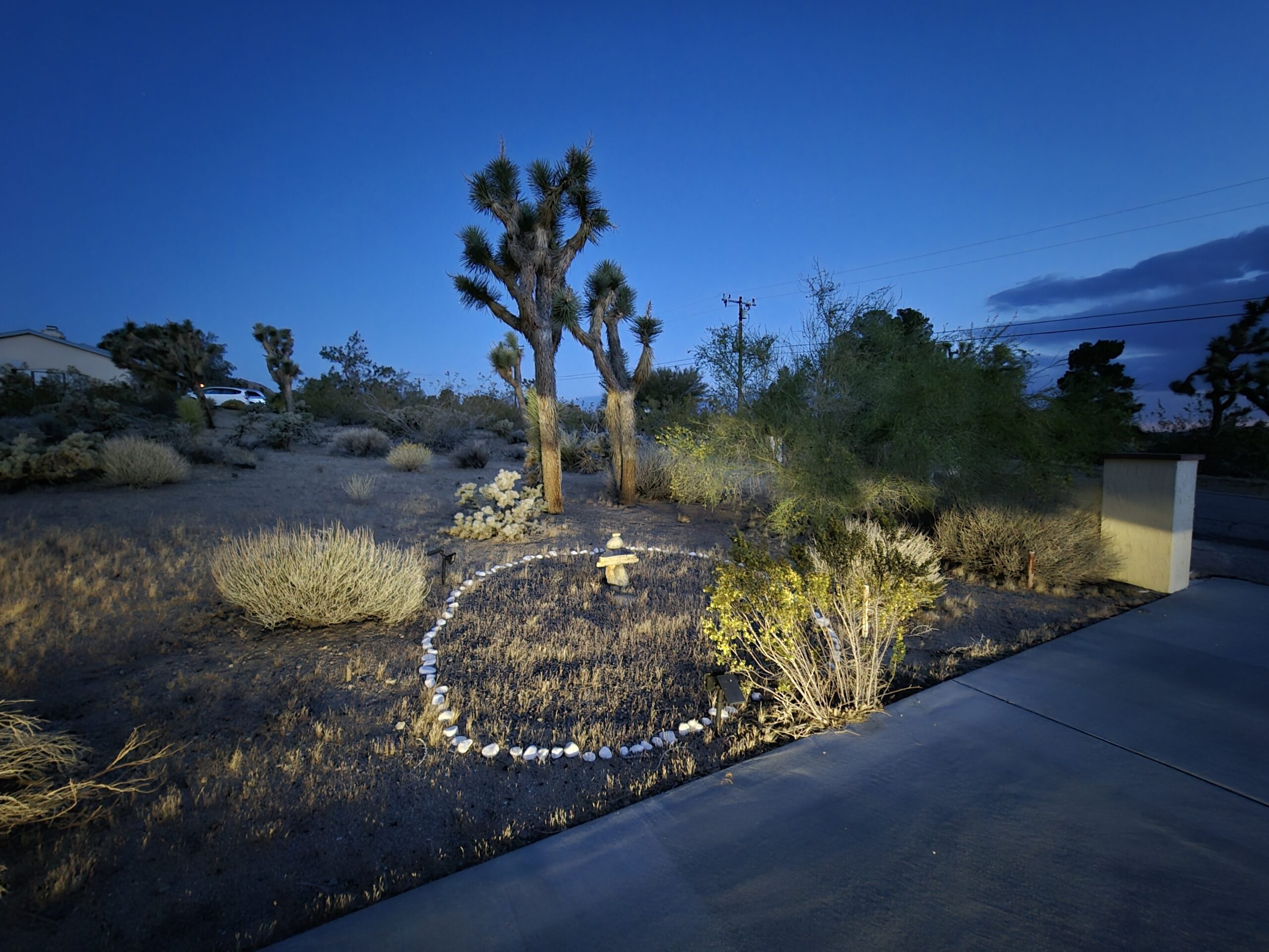 Joshua Tree Gemma Park