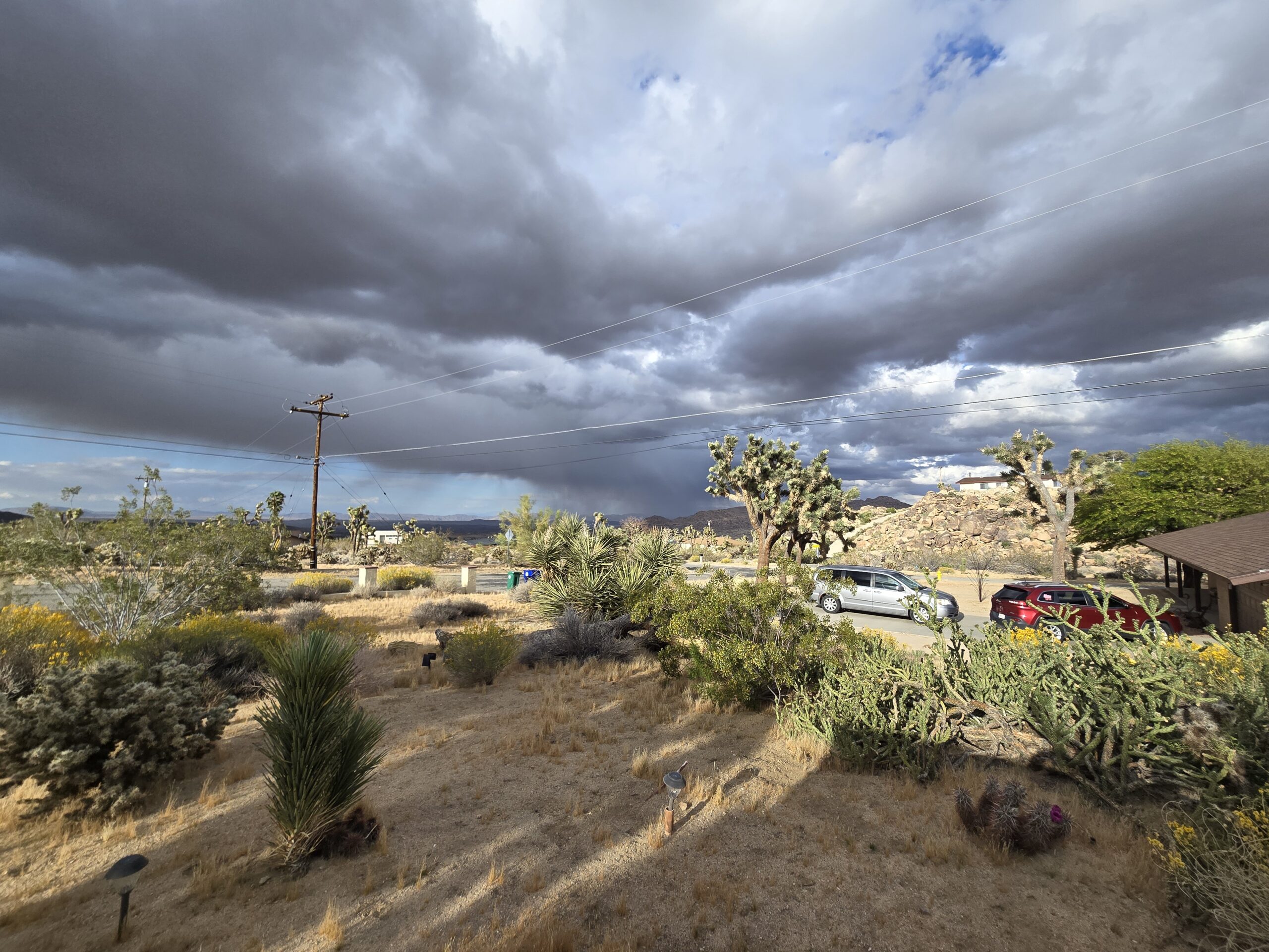 Joshua Tree rain in the basin