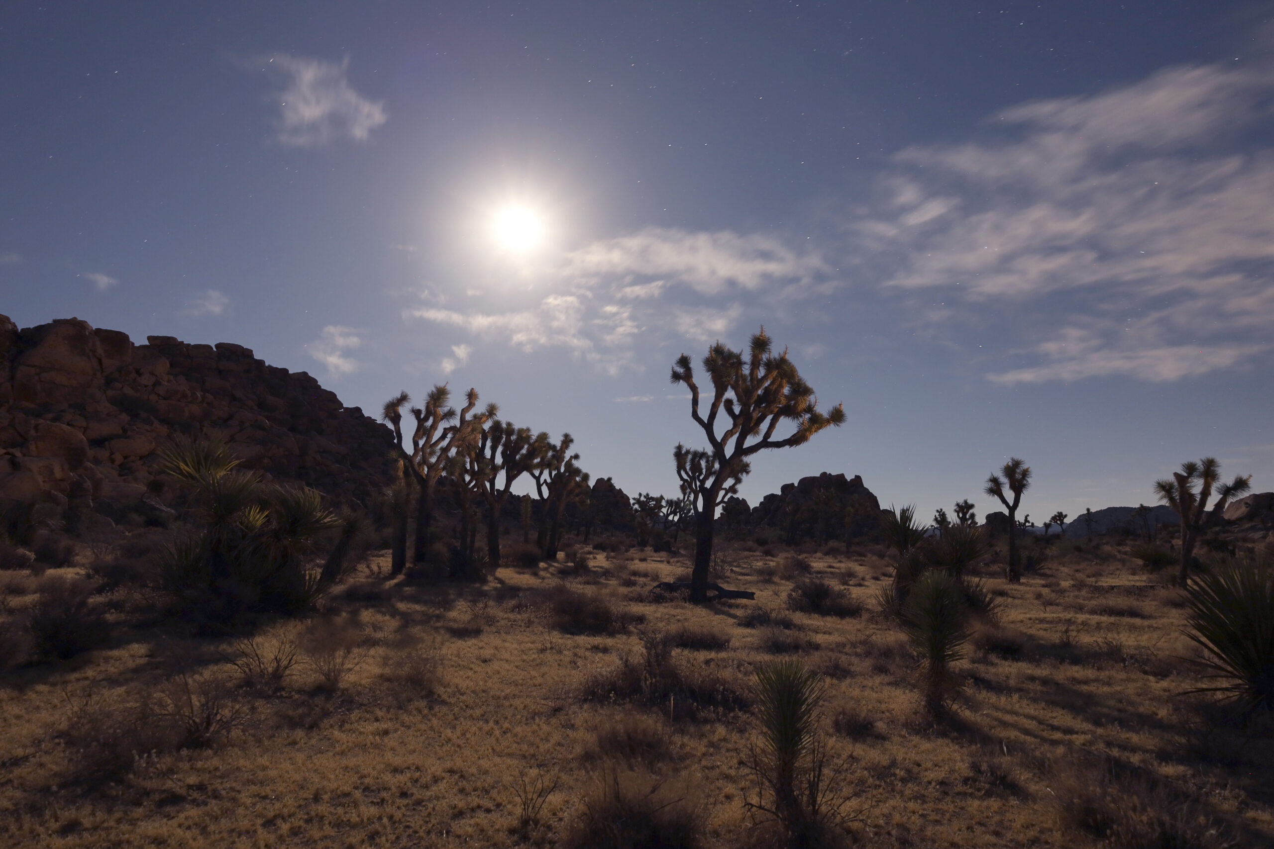 Joshua Tree park super moon long exposure